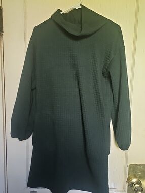 Womens SZ M Max STUDIO Dark Green Textured Turtleneck Dress